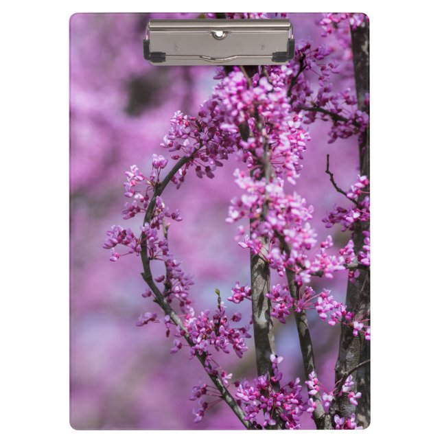 Porte-bloc Avondale Redbud Art (Devant)