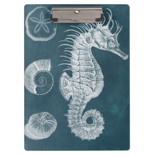 Porte-bloc Azure Seahorse Study I