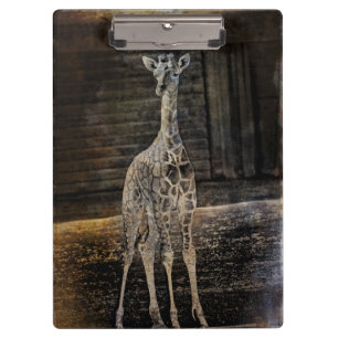 Porte-bloc Baby Giraffe