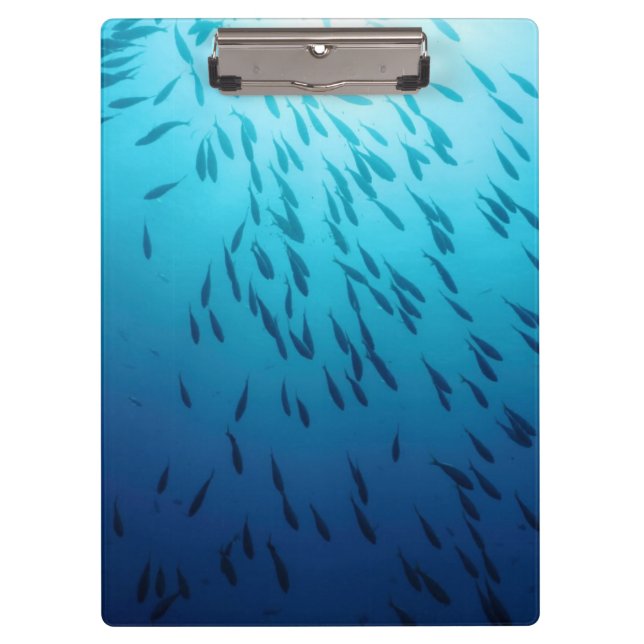 Porte-bloc Banc des poissons (Devant)