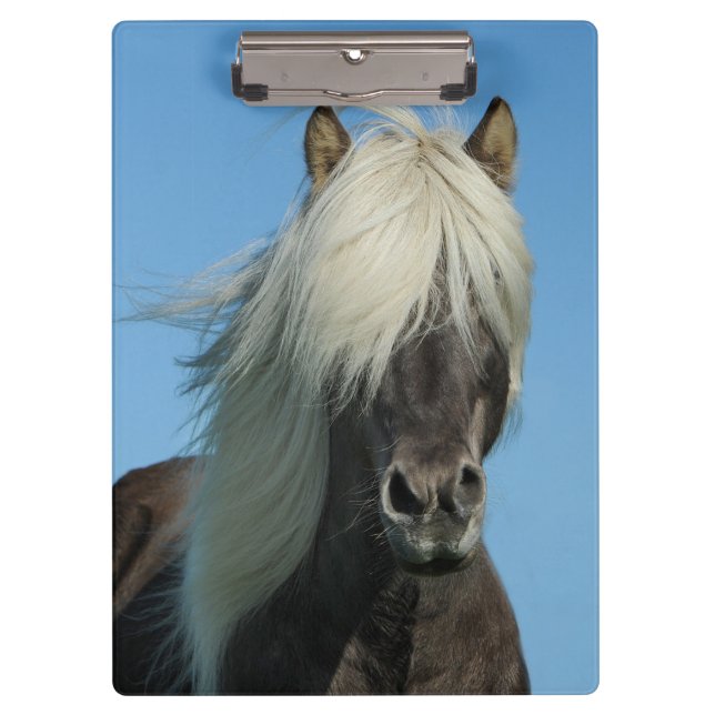 Porte-bloc Beau Cheval (Devant)