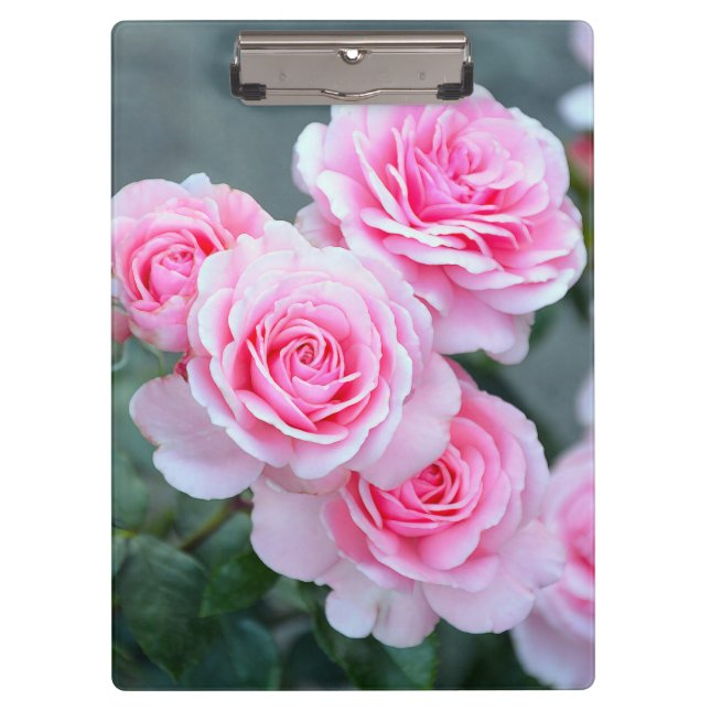 Porte-bloc Beaux roses roses (Devant)