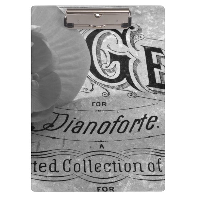 Porte-bloc Begonia Gems Pianoforte (Devant)