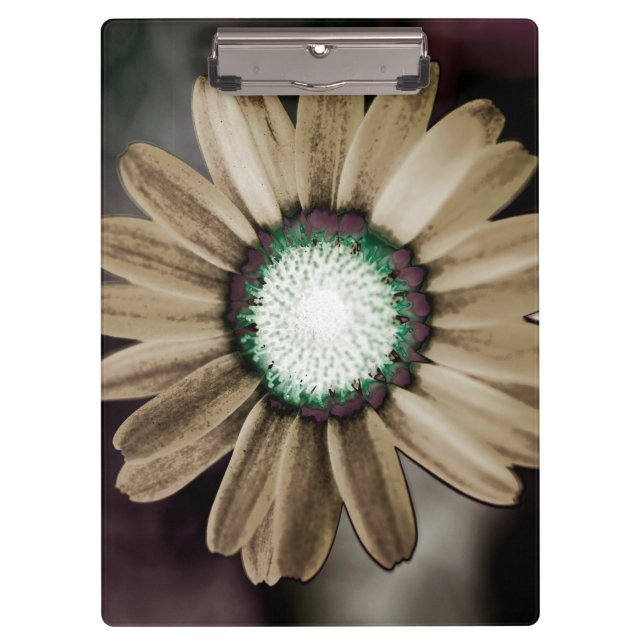 Porte-bloc Beige Rustic Daisy Porte - bloc (Devant)