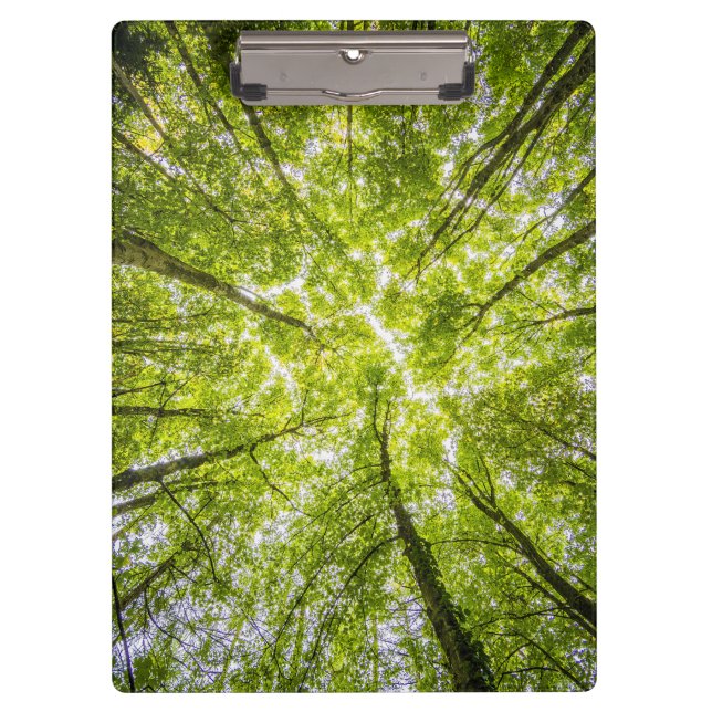 Porte-bloc Belle forêt verte (Devant)