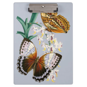 Porte-bloc Belle illustration Vintage de papillon floral