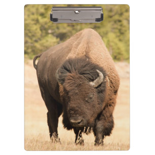 Porte-bloc Bison