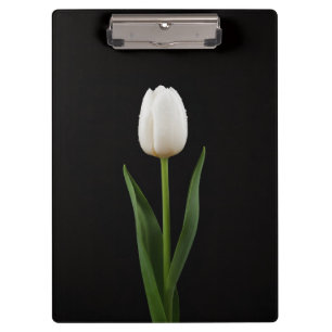 Porte-bloc Black 4 Luxe, Tulipe blanche perle