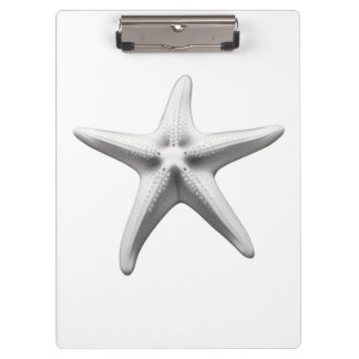Porte-bloc Black and White Starfish