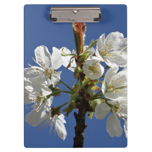 Porte-bloc Blossom du printemps blanc (Devant)
