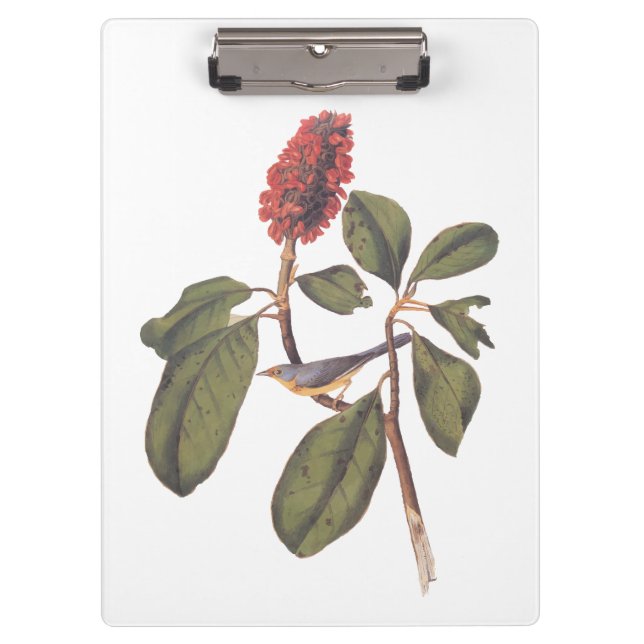 Porte-bloc Bonaparte Moucherolle Canada Paruline Audubon Oise (Devant)