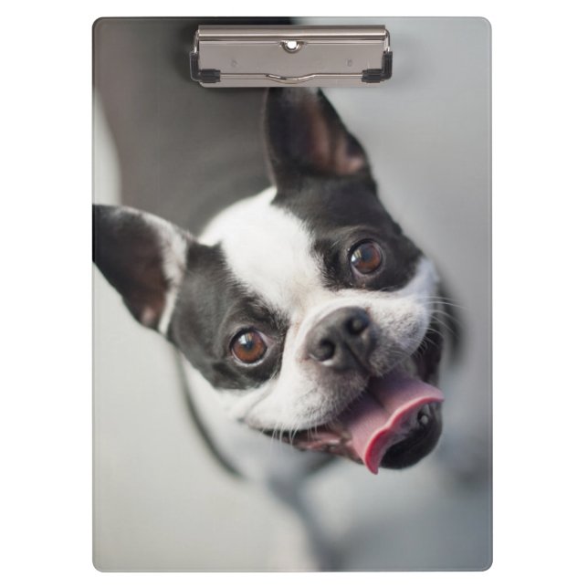 Porte-bloc Bouledogue français des images | de Getty (Devant)