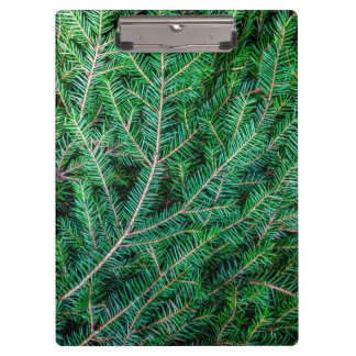 Porte-bloc Branche du sapin