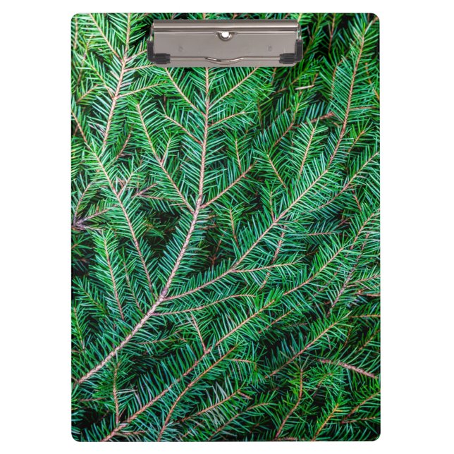 Porte-bloc Branche du sapin (Devant)