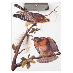 Porte-bloc Buse à épaulettes roux Audubon Oiseau de proie
