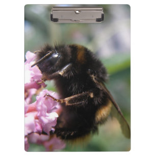 Porte-bloc Busy Bumblebee et Porte - bloc de fleurs roses