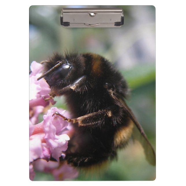 Porte-bloc Busy Bumblebee et Porte - bloc de fleurs roses (Devant)