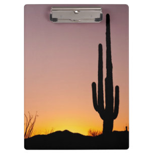 Porte-bloc Cactus de Saguaro au coucher du soleil
