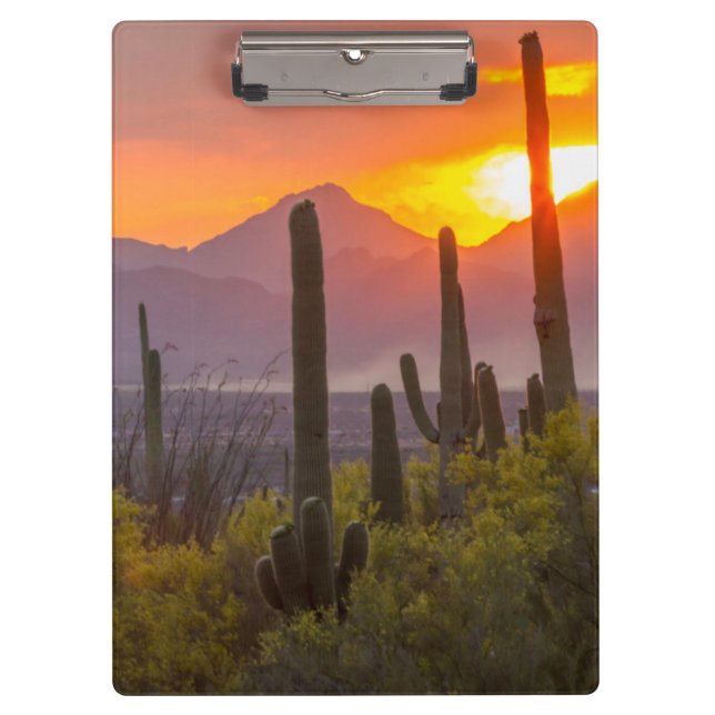 Porte-bloc Cactus du désert au coucher du soleil, Arizona (Devant)