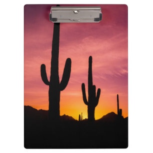 Porte-bloc Cactus saguaro au lever du soleil, Arizona