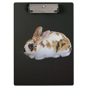 Porte-bloc Calico Rabbit