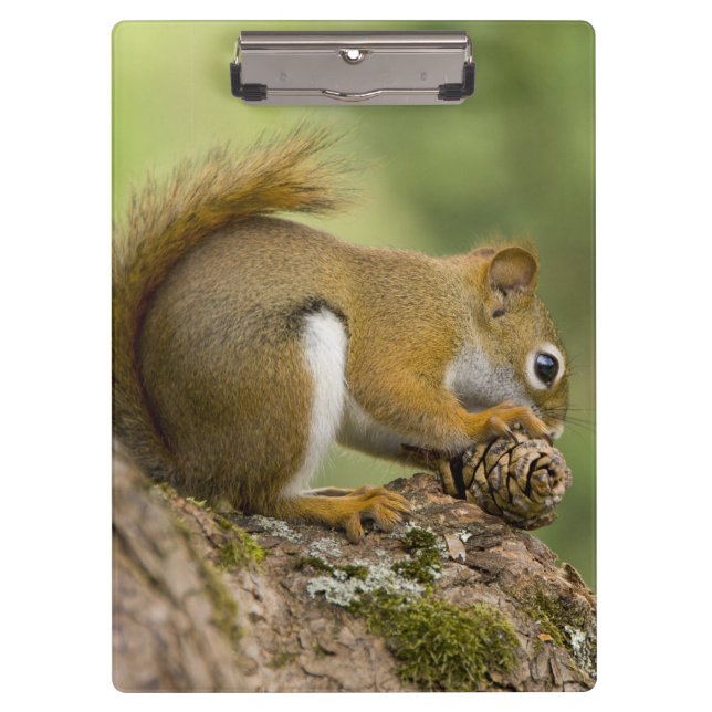 Porte-bloc Canada, Nouvelle-Écosse, Halifax. Jardins publics, (Devant)