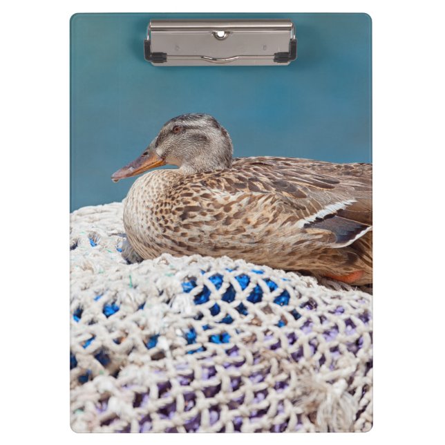 Porte-bloc Canard de repos (Devant)