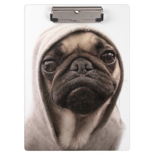 Porte-bloc Carlin dans un sweat - shirt à capuche (Devant)