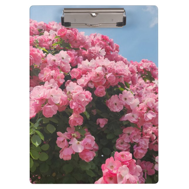 Porte-bloc Cascade Rose Épanouie (Devant)