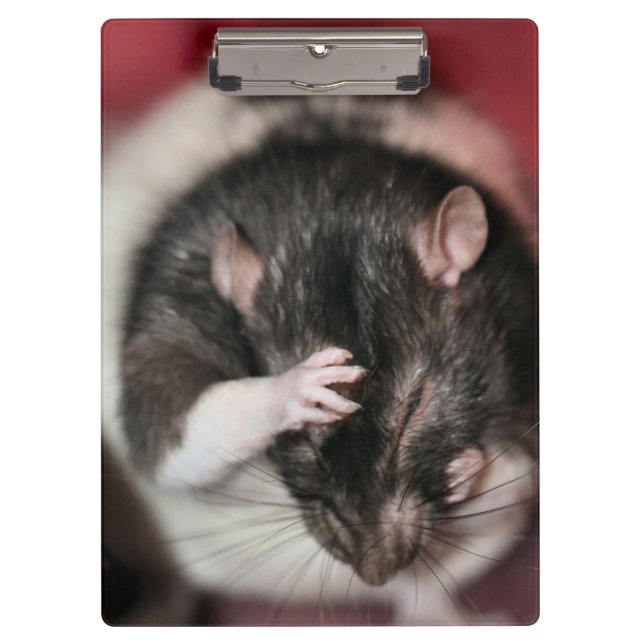 Porte-bloc Casque (Devant)