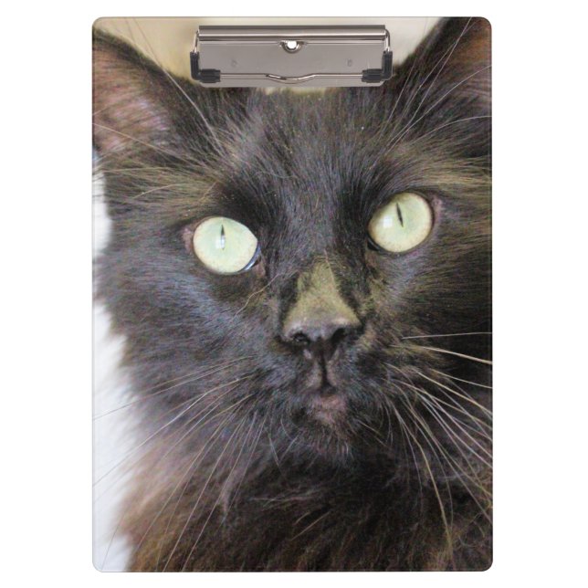 Porte-bloc Cat (Devant)