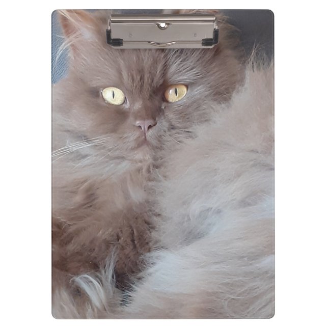 Porte-bloc Cat mignon (Devant)