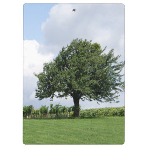 Porte-bloc Cerisier En Été