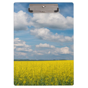 Porte-bloc Champ de Canola & Nuages