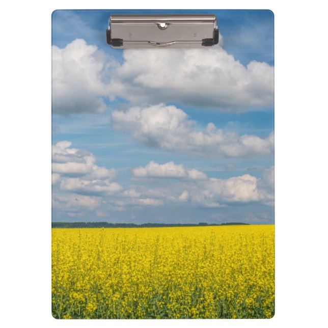 Porte-bloc Champ de Canola & Nuages (Devant)