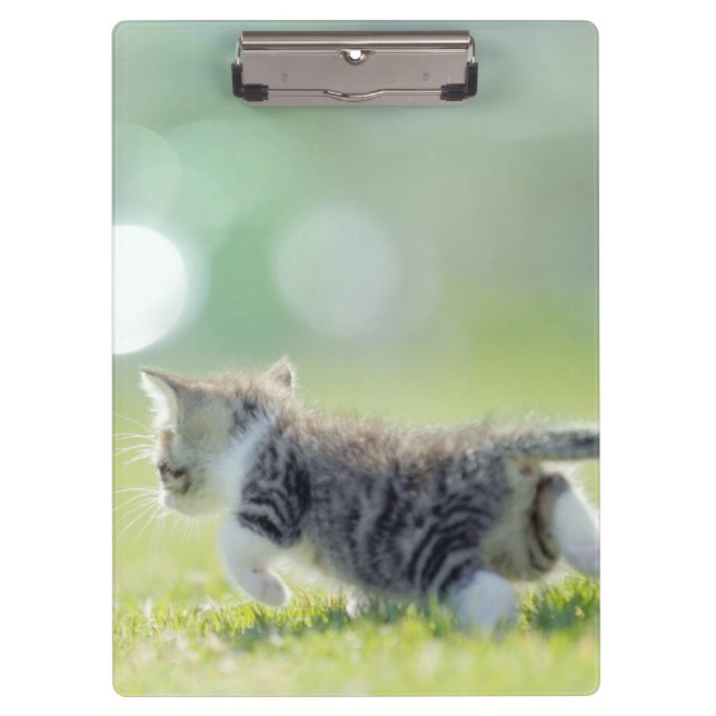 Porte-bloc Chat de bébé fonctionnant sur le champ d'herbe (Devant)