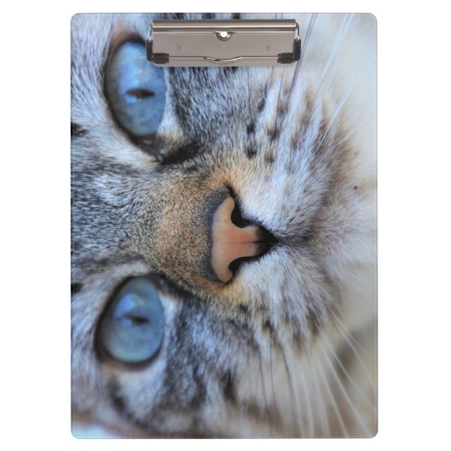 Porte-bloc Chat gris (Devant)