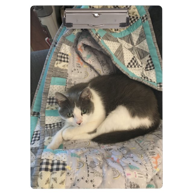 Porte-bloc Chat gris et blanc (Devant)