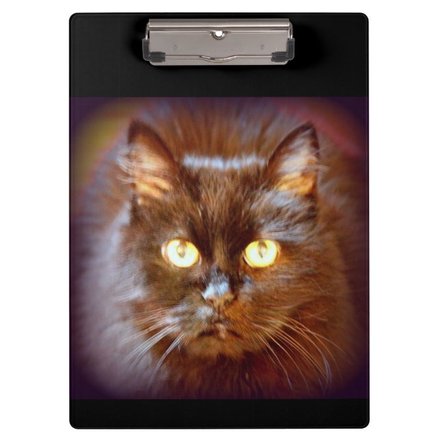 Porte-bloc chat noir (Devant)