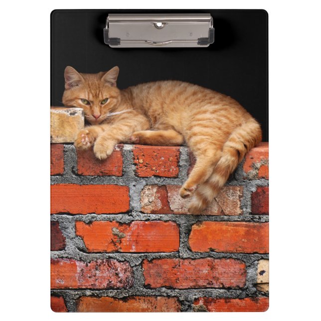 Porte-bloc Chat sur mur de brique (Devant)