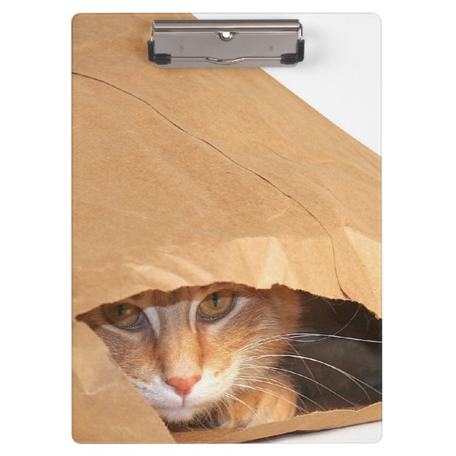 Porte-bloc Chat tigré orange dans le sac de papier (Devant)
