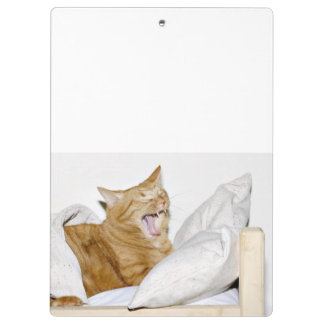 Porte-bloc Chat tigré orange somnolent