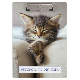 Porte-bloc Chaton dormant