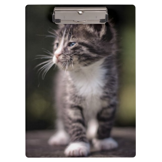Porte-bloc Chaton se tenant grand (Devant)