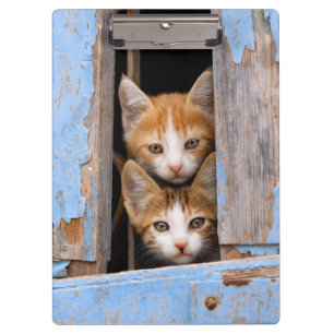Porte-bloc Chatons mignons de chat dans une photo vintage