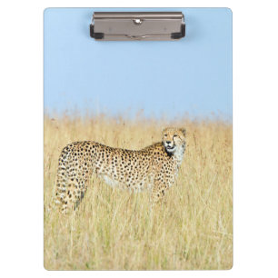 Porte-bloc Cheetah
