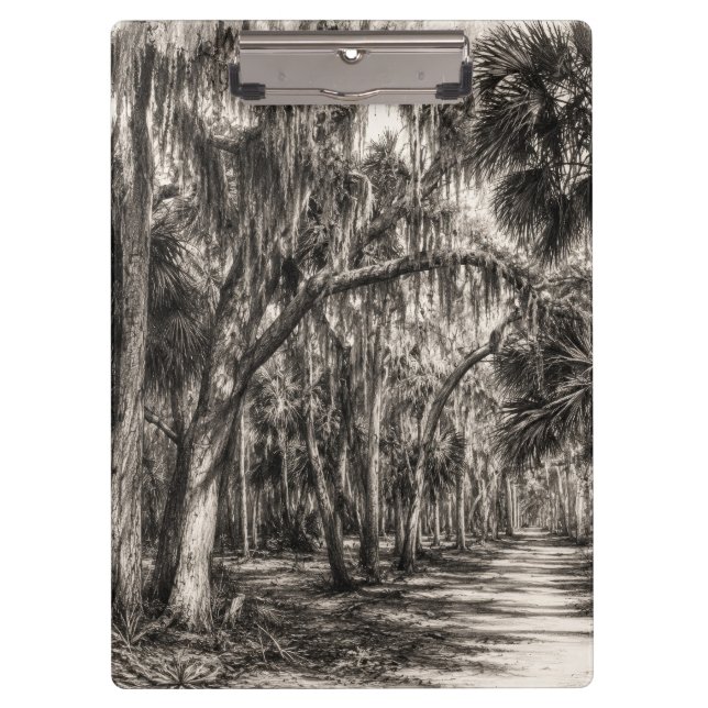 Porte-bloc Chêne de Floride ancien Hammock Graphite Croquis | (Devant)