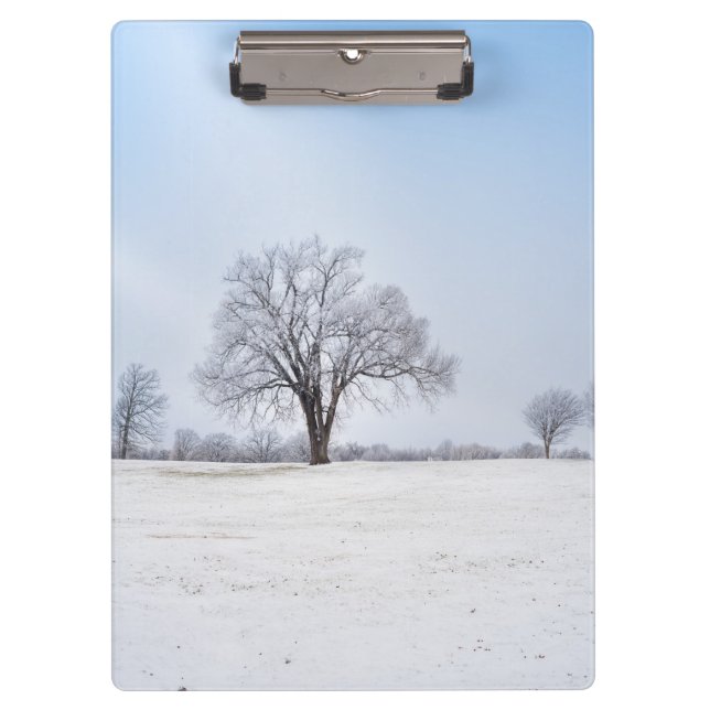 Porte-bloc Chêne d'hiver surligné (Devant)