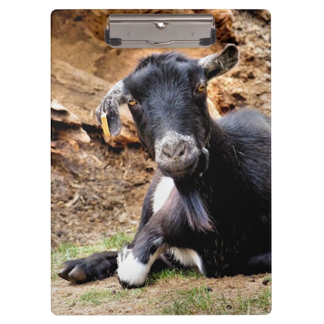 PORTE-BLOC CHÈQUE CUTE (Devant)