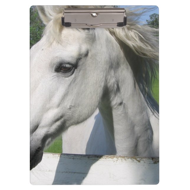Porte-bloc Cheval blanc (Devant)